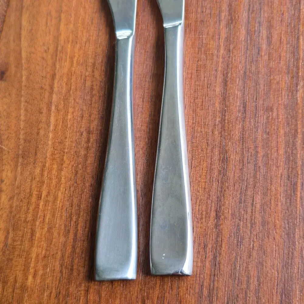 Oneida Moda Butter Knives Set of 2 Satin Stainless Steel Contemporary Modern
